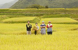 効果はおだやかに長く効き、作物に害をあたえない